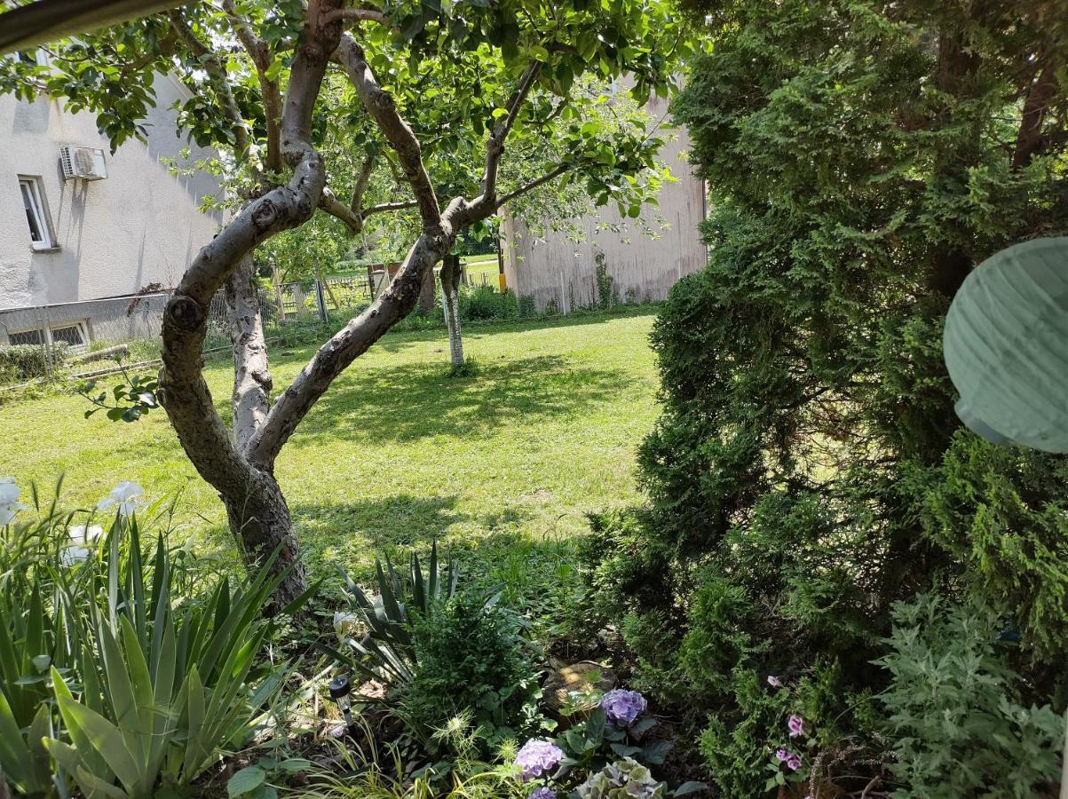 Villa Drenje Kljuc Brdovecki Exterior foto